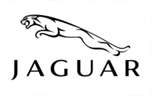 Sonali Gupta - Luxury(Jaguar)
